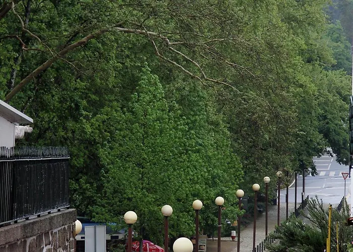 Alojamento de Acomodação e Pequeno-almoço Casa Termas Termas de São Pedro do Sul